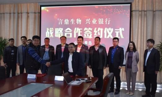 深化银企合作 实现共赢发展——青岛BBIN宝盈集团生物与兴业银行莱西支行签订战略合作协议