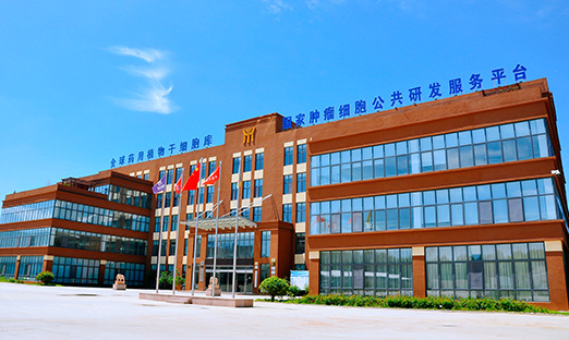 喜报！BBIN宝盈集团生物牵头项目获批科技部国家重点研发计划重点专项
