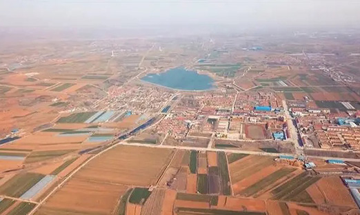 首部促进“大种业”发展地方性法规！《青岛市种业促进条例》出台