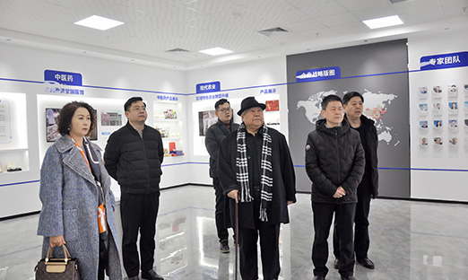 山东省海促会一行莅临BBIN宝盈集团集团参观