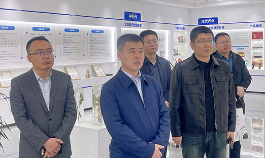 通辽开发区领导莅临BBIN宝盈集团集团考察交流 共绘合作新篇